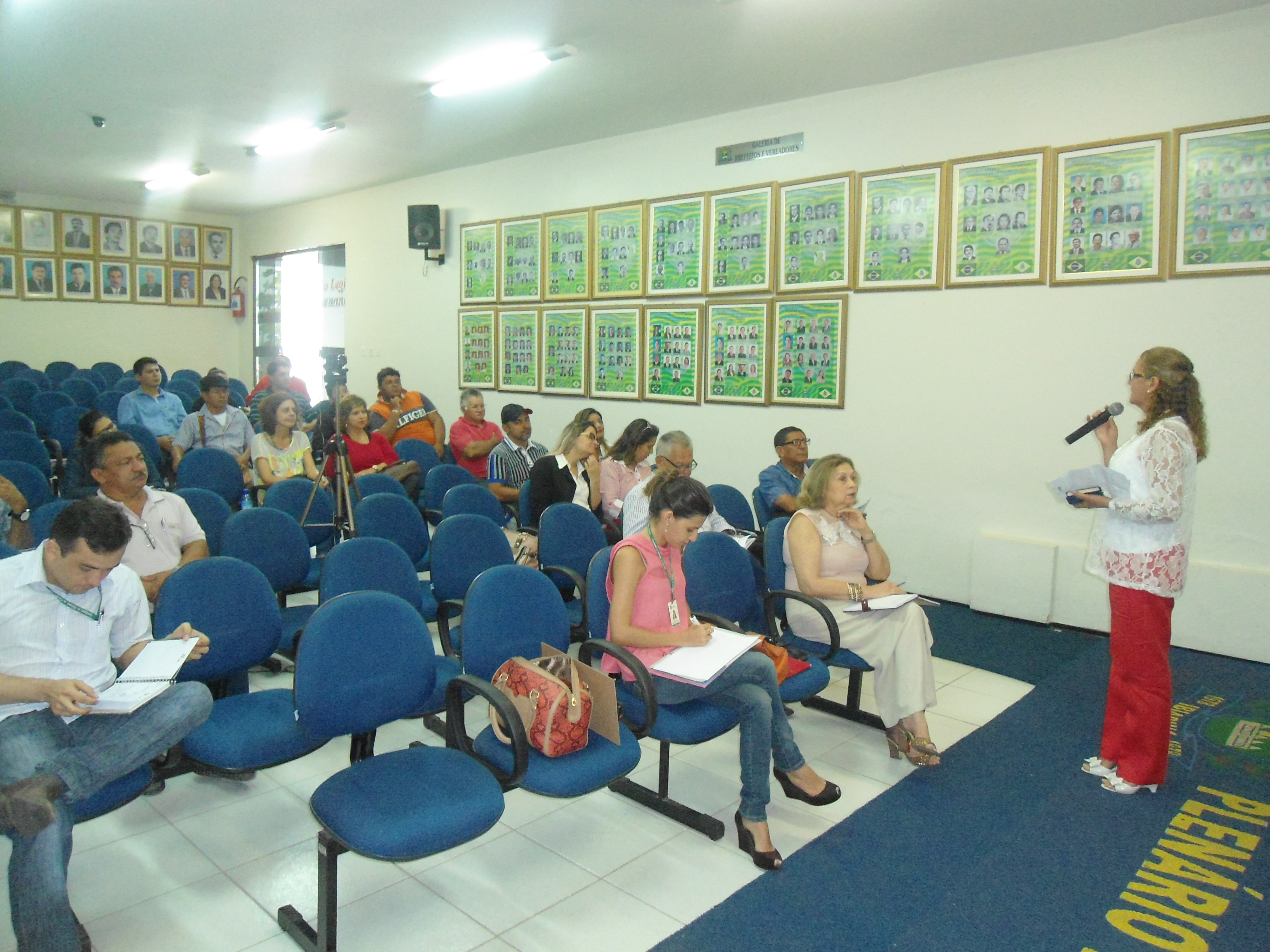 7ª Reunião Ordinária