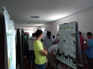 IMG_20180125_095322304
